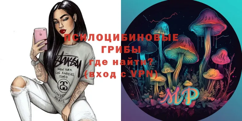 Псилоцибиновые грибы Psilocybe  цены   Чусовой 